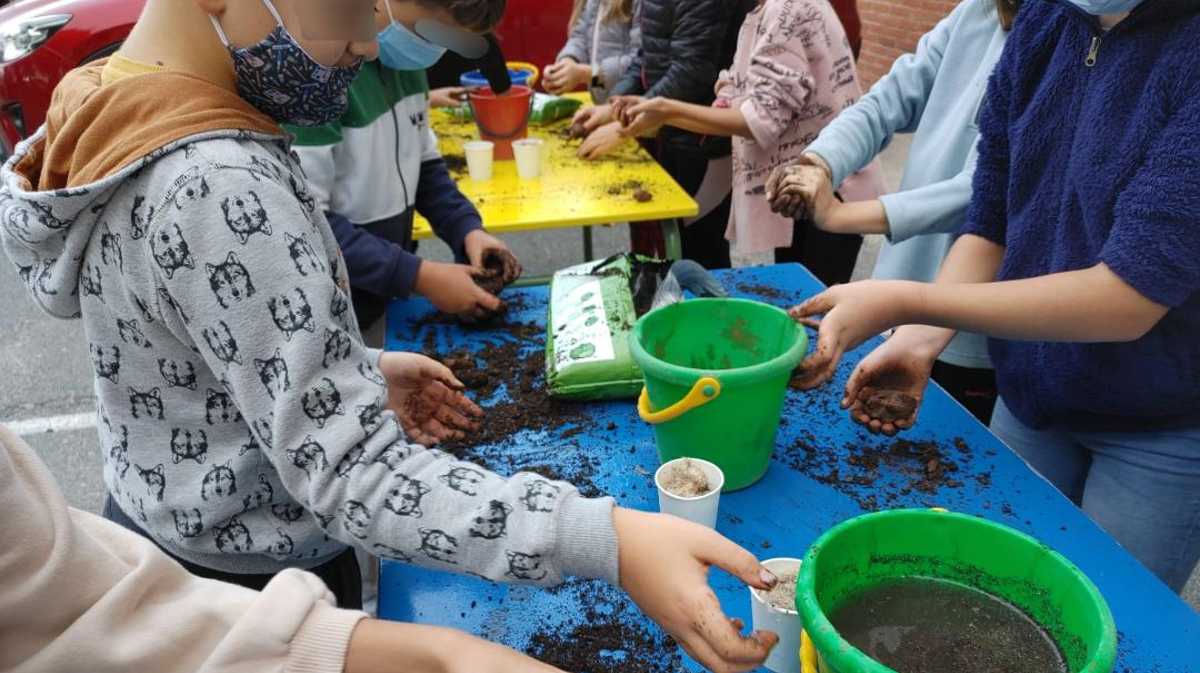 Taller de elaboración de semillas.