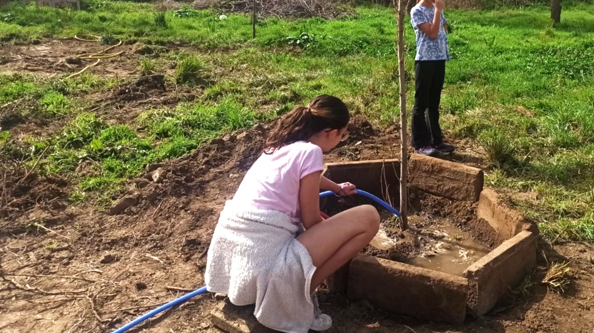 Plantación de la nueva zona verde de Urraca-Miguel.