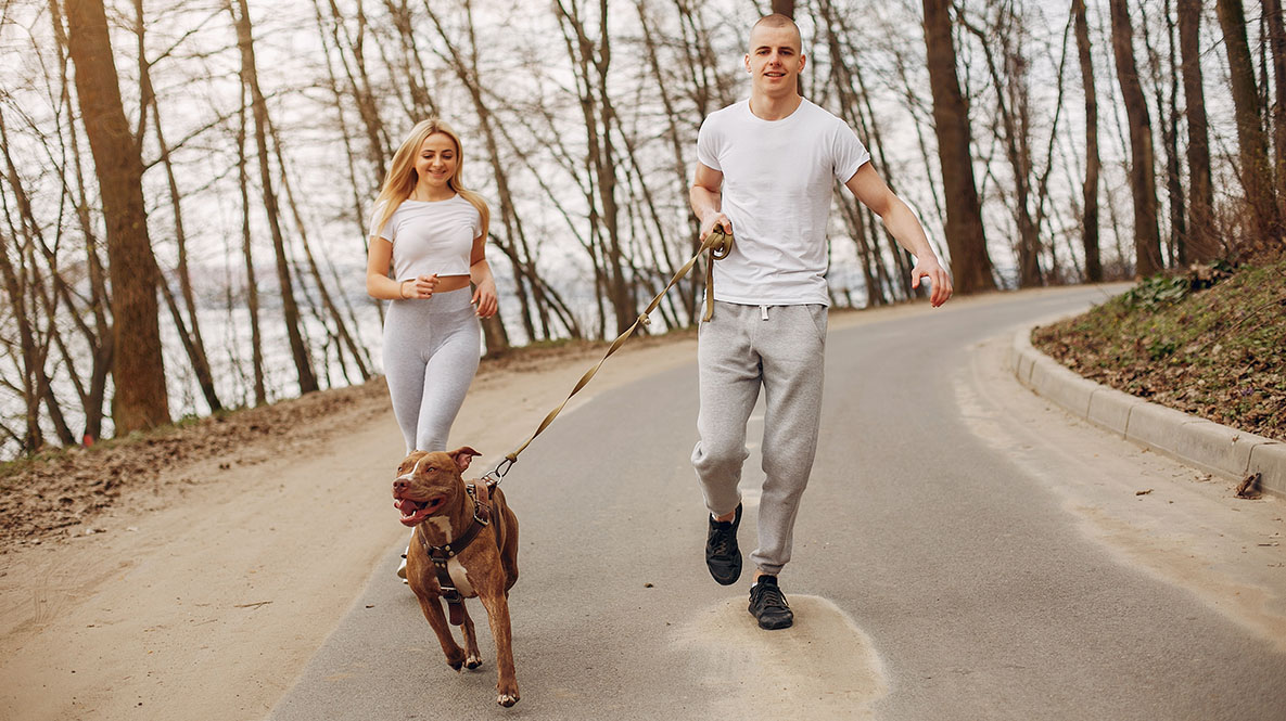 Imagen de archivo de una pareja paseando con su mascota
