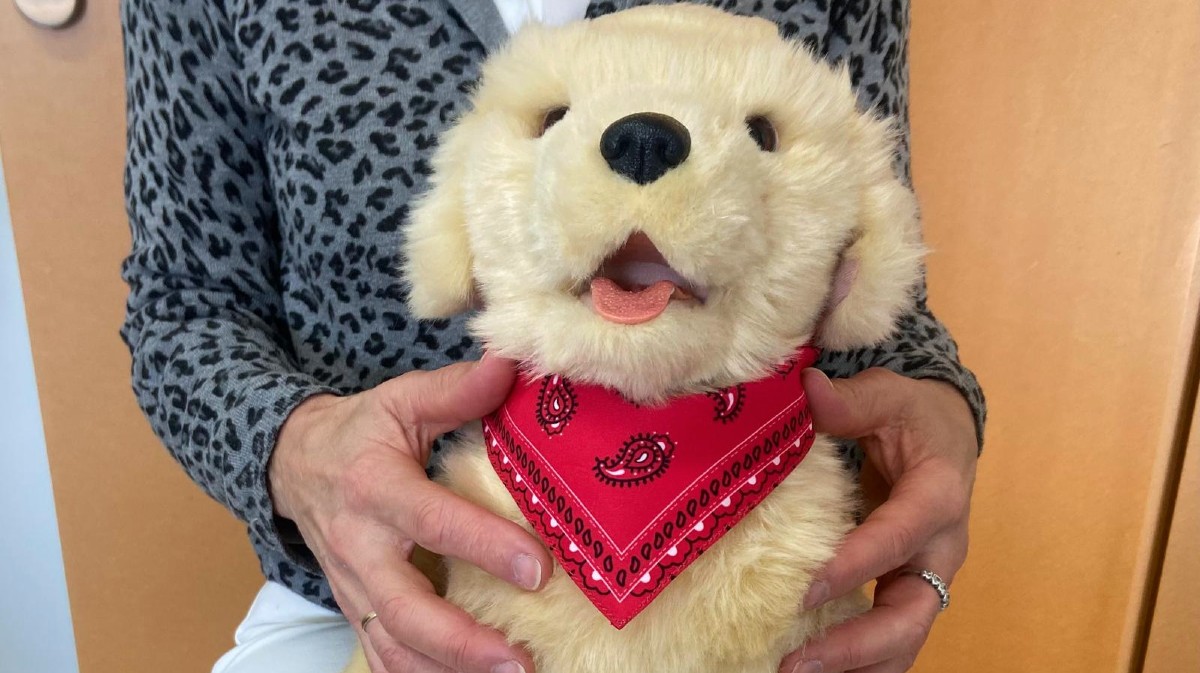 Perro robot de Pronisa.