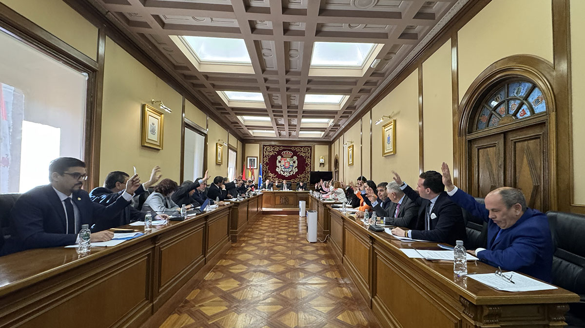 El pleno de la Diputación vota de manera unánime