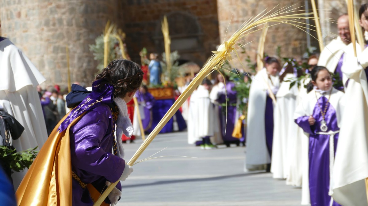 FOTOS | Las palmas desafían al viento, que llega a soplar a 60 kilómetros por hora