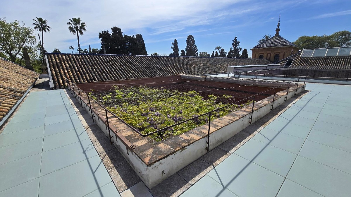 Palacio San Telmo, sede de la Junta de Andaluc&iacute;a.