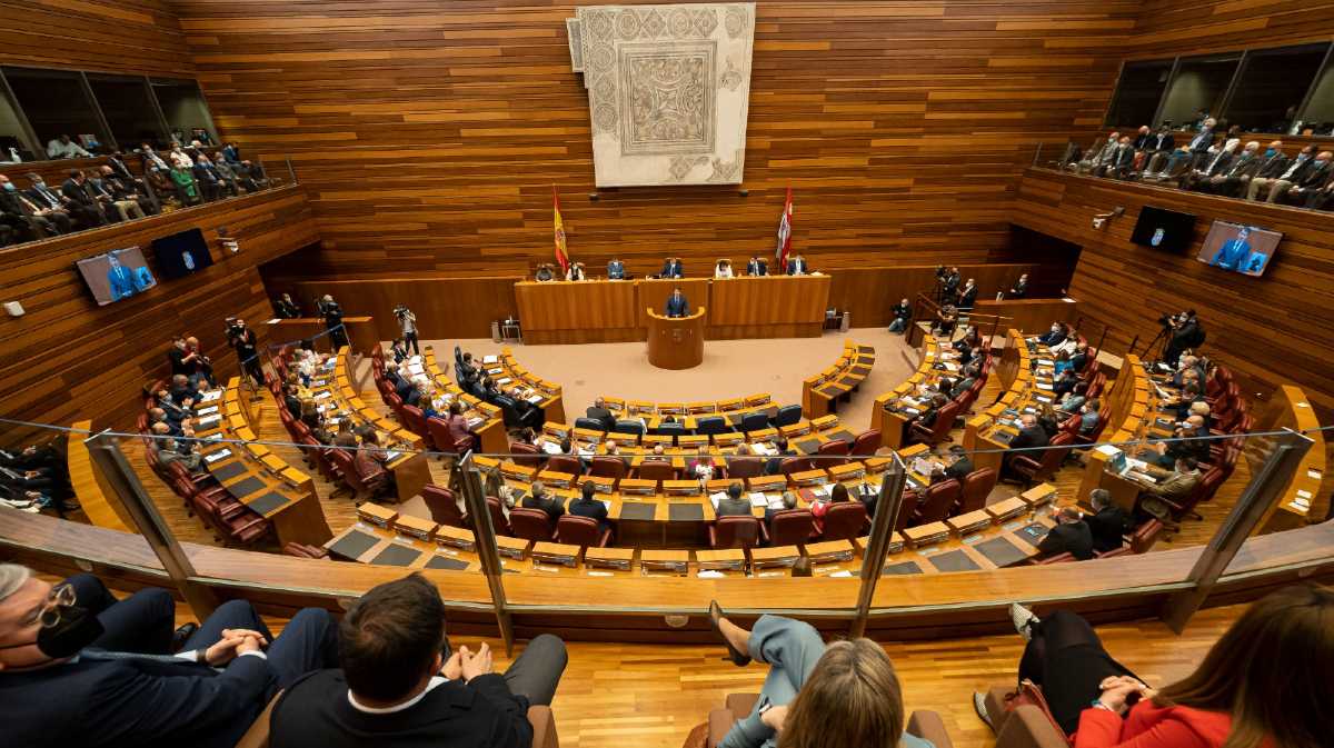 Cortes de Castilla y Le&oacute;n.