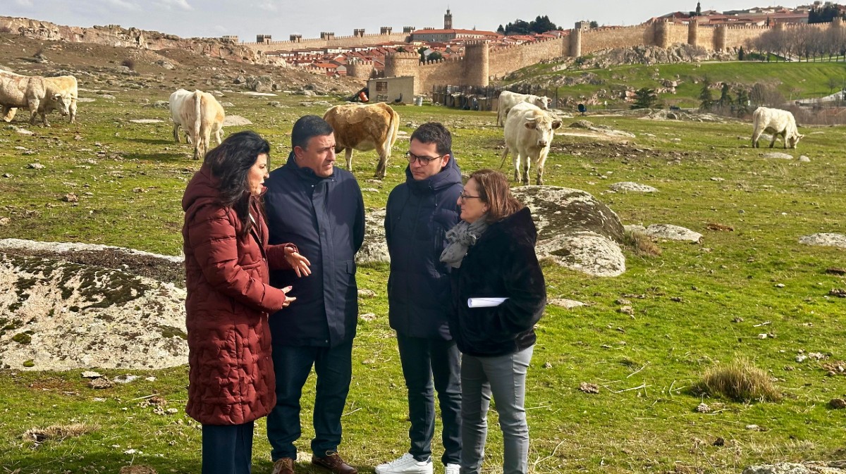 Candidatos del PP en una explotaci&oacute;n ganadera en &Aacute;vila, este martes.