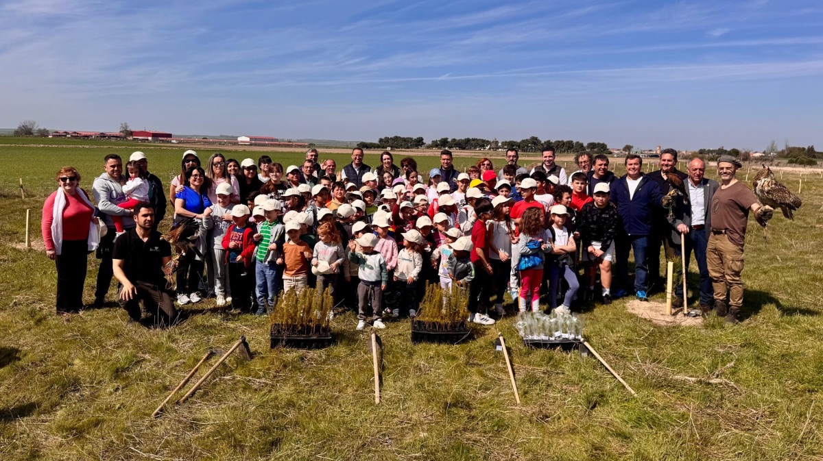 Plantaci&oacute;n de pinos en Fontiveros por el D&iacute;a Forestal