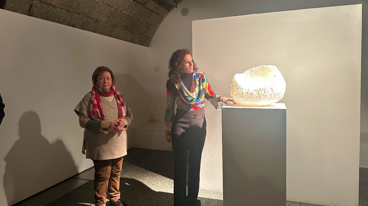 Exposici&oacute;n de Susana Botana en el palacio de los Serrano.