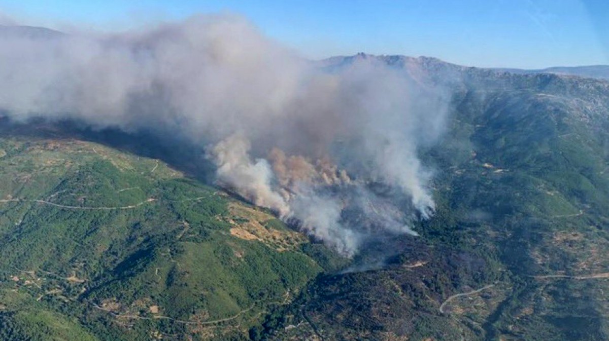 Incendio forestal en 2025.
