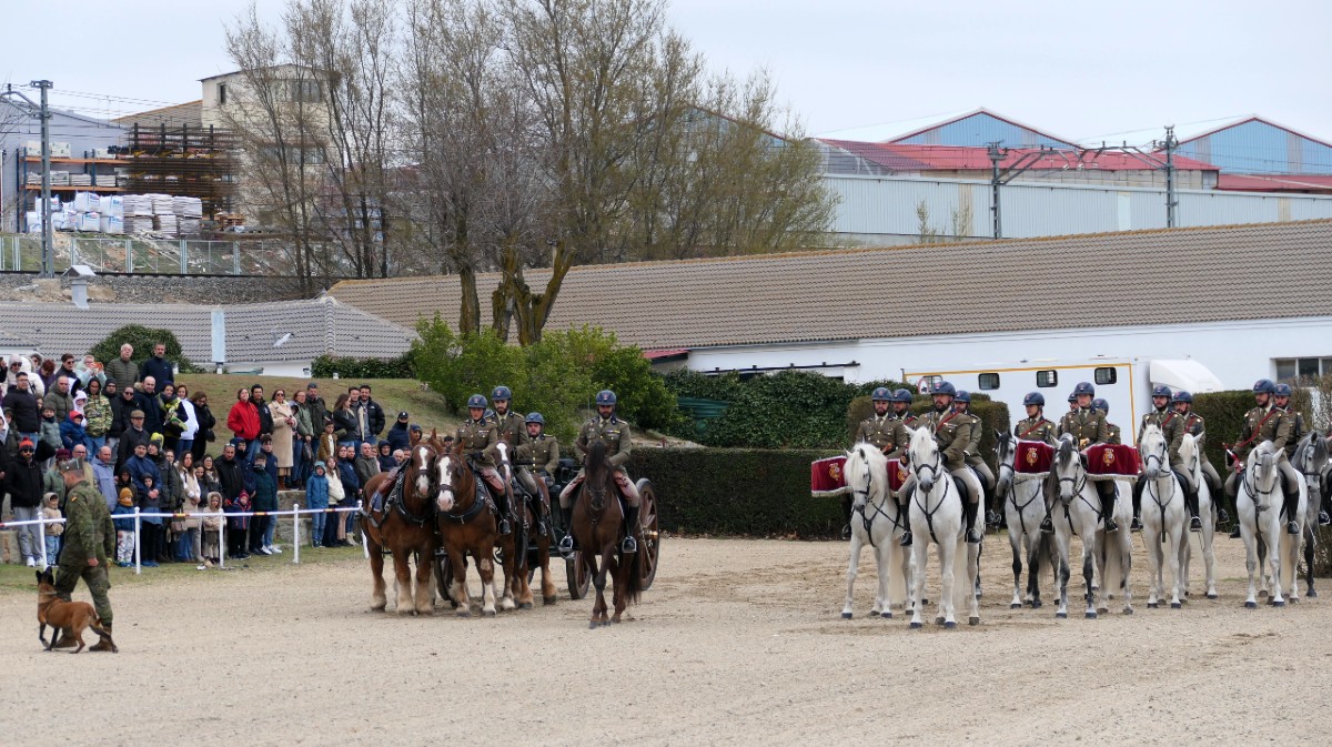 El Centro de Reproducci&oacute;n Equina presenta la nueva temporada de sementales.