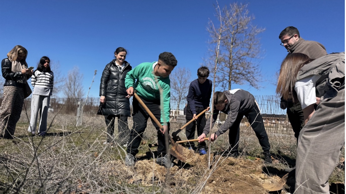 Plantaci&oacute;n de &aacute;rboles por el D&iacute;a Forestal Mundial