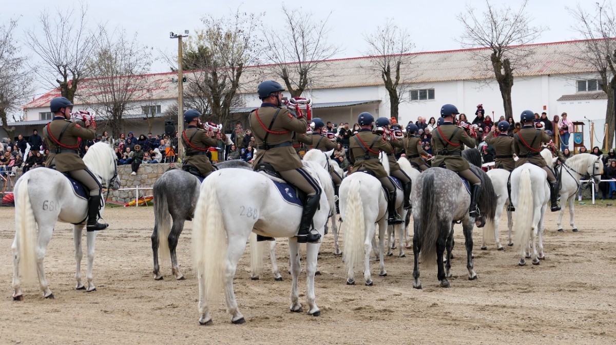 El Centro de Reproducci&oacute;n Equina presenta la nueva temporada de sementales.