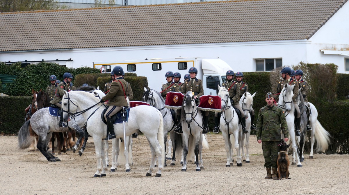 El Centro de Reproducci&oacute;n Equina presenta la nueva temporada de sementales.