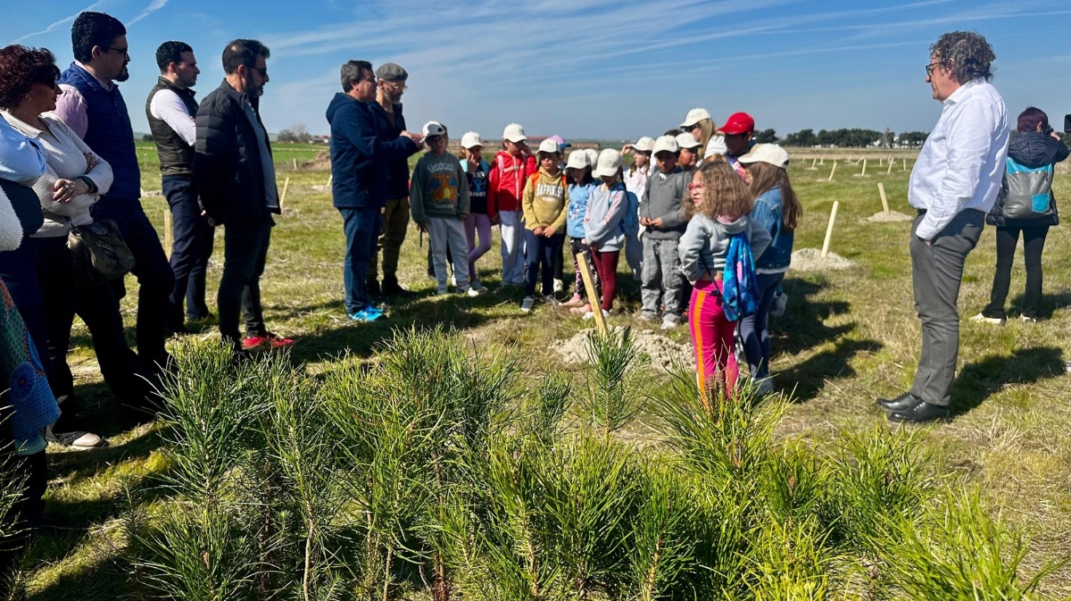 Plantaci&oacute;n de pinos en Fontiveros por el D&iacute;a Forestal