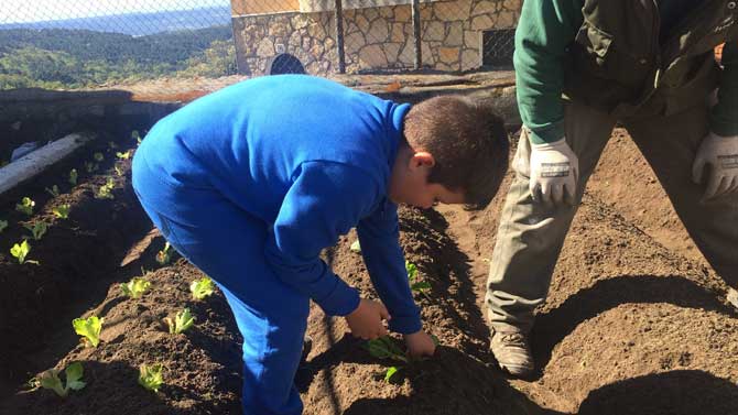 Huerto en el CRA Las Torres.
