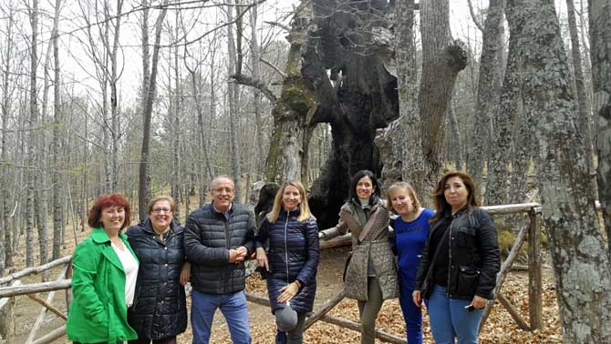 Candidatos del PP en el castañar de El Tiemblo.