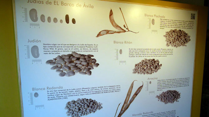 Museo de la la jud&iacute;a de El Barco.