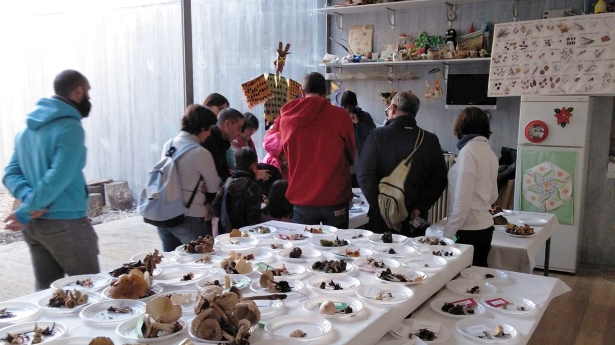Museo de la Naturaleza de El Barraco.