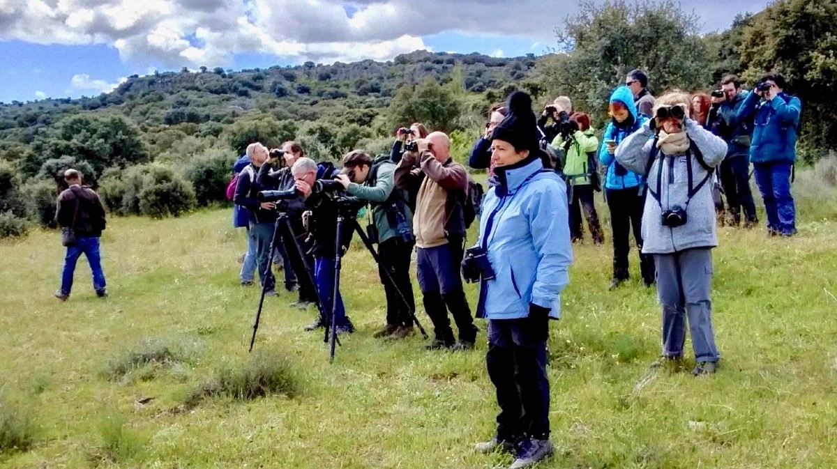 Avistamiento en el Curso de Aves de Ávila.