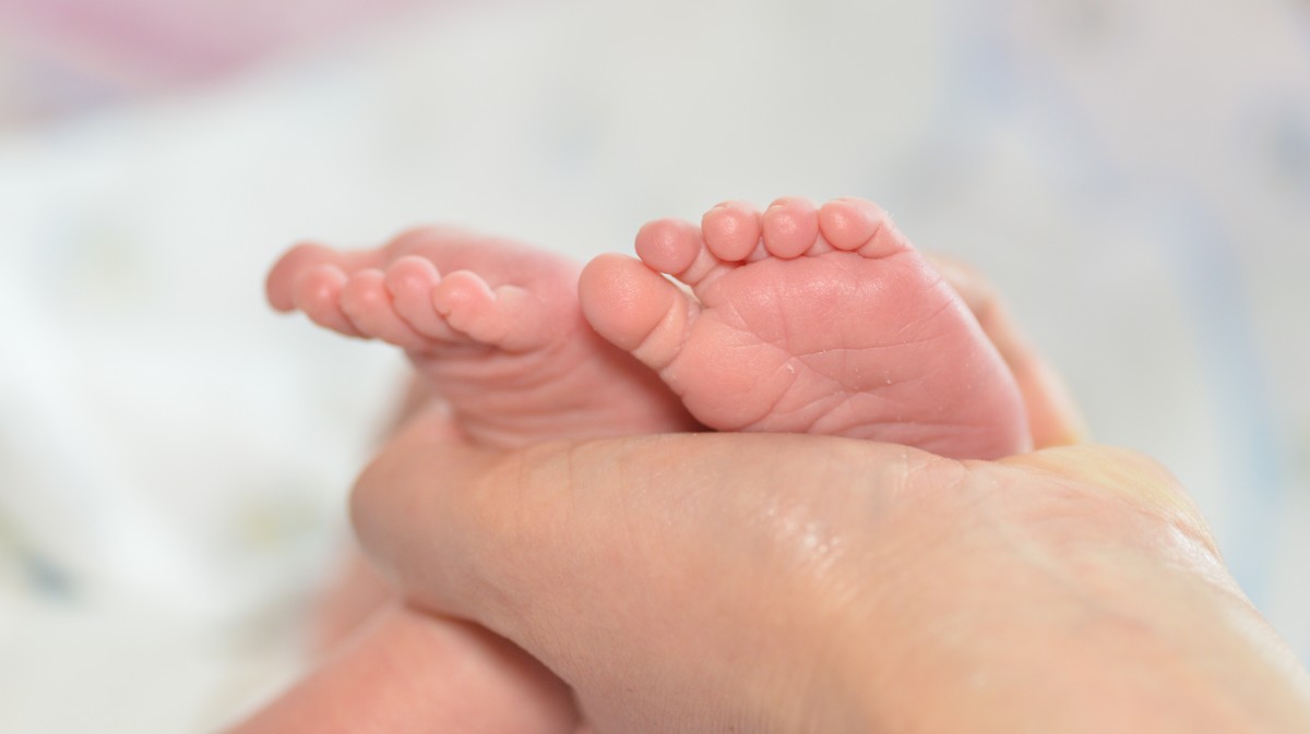 Aumentan los nacimientos y disminuyen las muertes en Ávila en el inicio de 2026