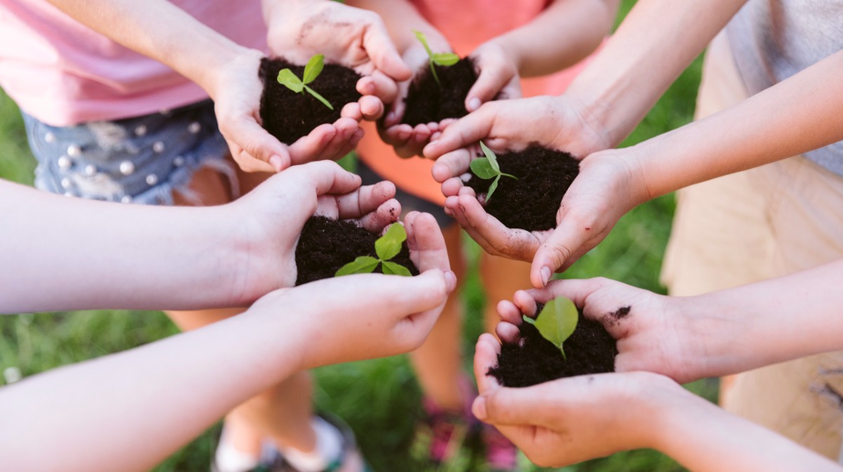 Escolares en una actividad medioambiental.