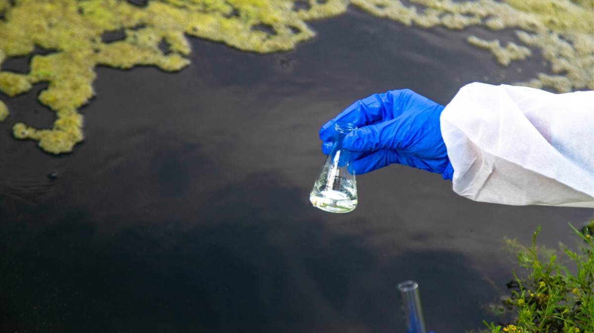 Muestreos en los r&iacute;os.