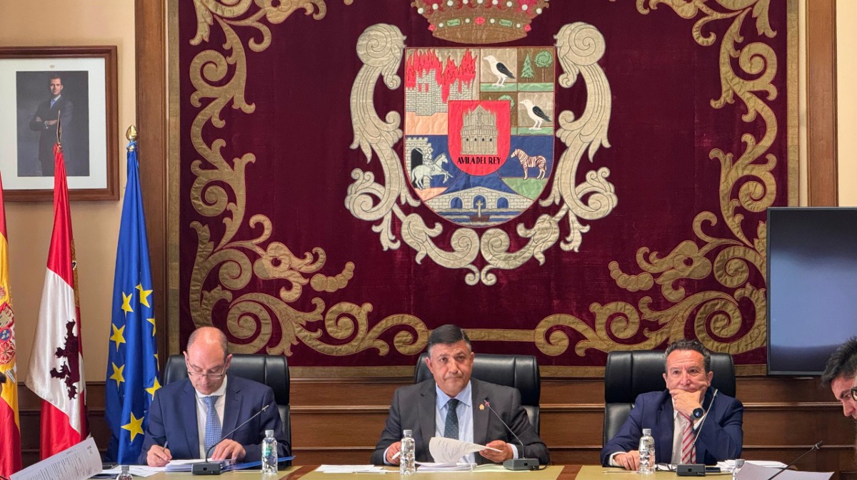 Pleno en la Diputaci&oacute;n de &Aacute;vila, el lunes.