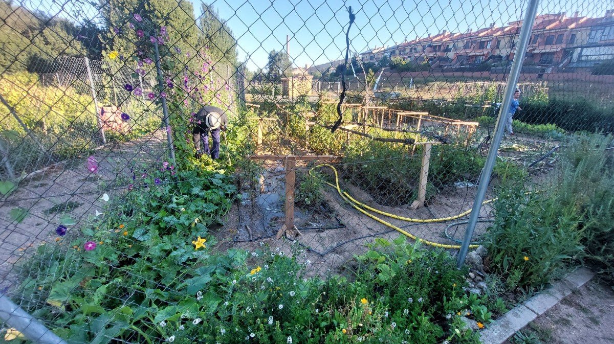 Huertos urbanos junto al r&iacute;o Adaja.