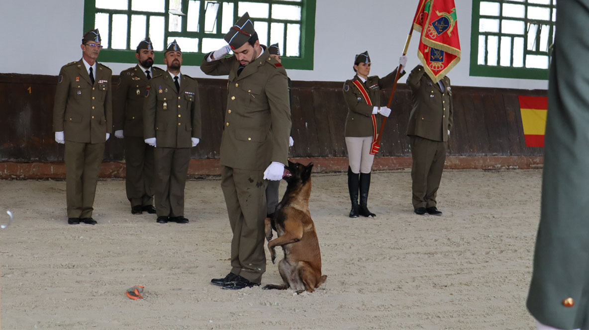 Imagen de archivo de un perro de la Unidad de Socializacion Canina en una demostraci&oacute;n.