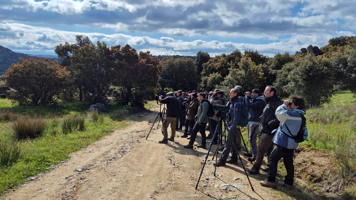 Participantes en el curso 'Conoce las aves de &Aacute;vila'.