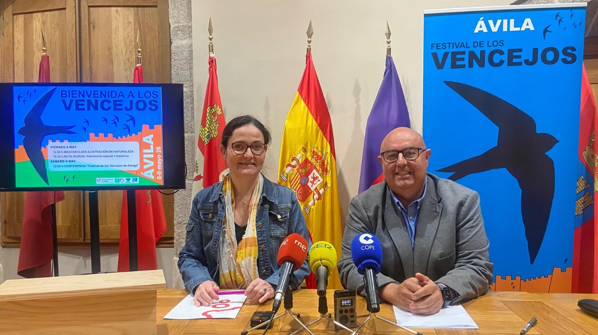 &Aacute;vila abre la temporada de los vencejos