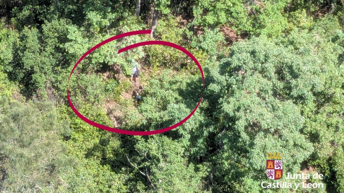 VÍDEO | Herido un parapentista al chocar contra un árbol en el aterrizaje