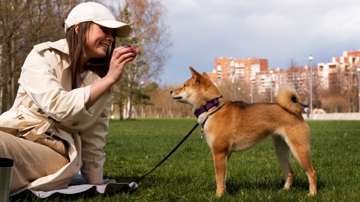 Una mujer con su perro en un parque canino.