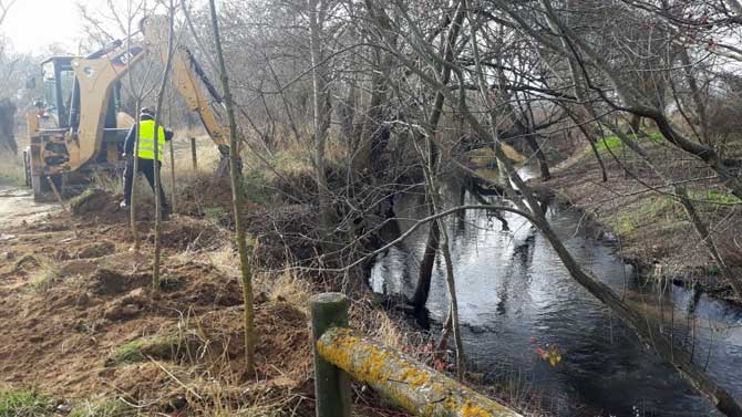 Trabajos en la ribera del r&iacute;o Adaja.