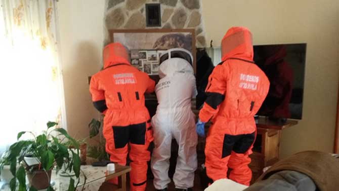 Retirada de un avispero en una vivienda de La Colilla.