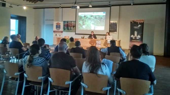 Jornadas del cultivo de judías en El Barco de Ávila.