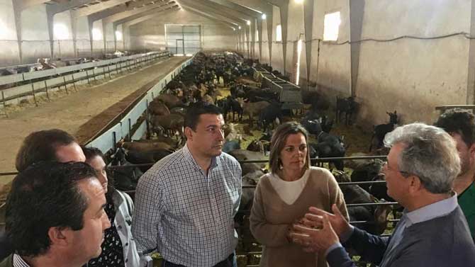 Milagros Marcos de una explotación de caprino de Madrigal.