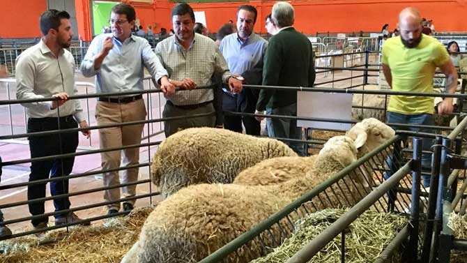 Fernández Mañueco en la Feriia Agroalimentaria de Candeleda.