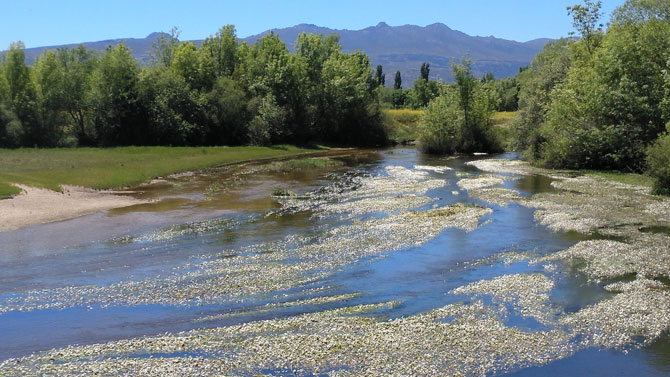 El río Adaja con el pico Zapatero al fondo, en la mañana del viernes.