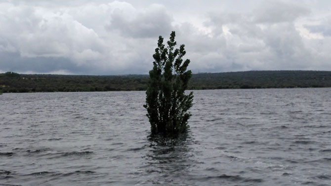 Embalse de Las Cogotas hace una semana.