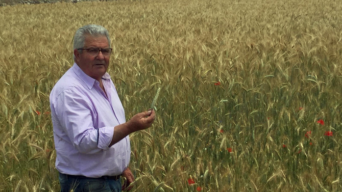 Rodrigo Méndez Burguillo.