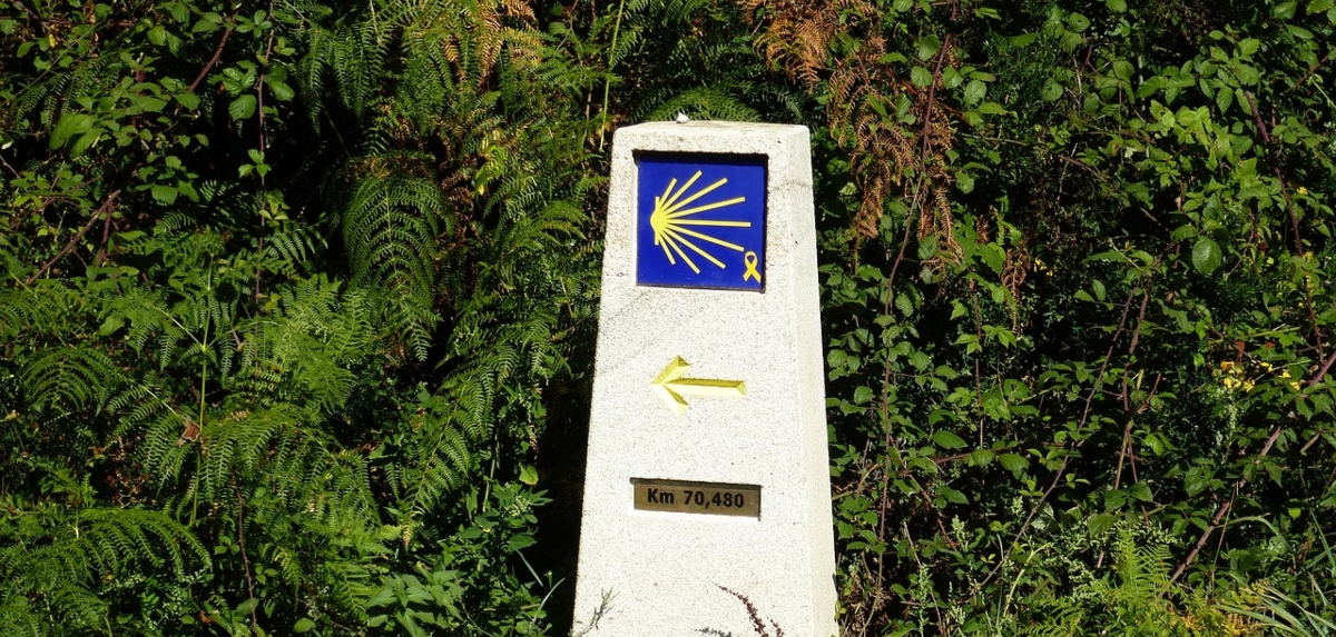 Para que los más pequeños escriban cuentos sobre el Camino de Santiago