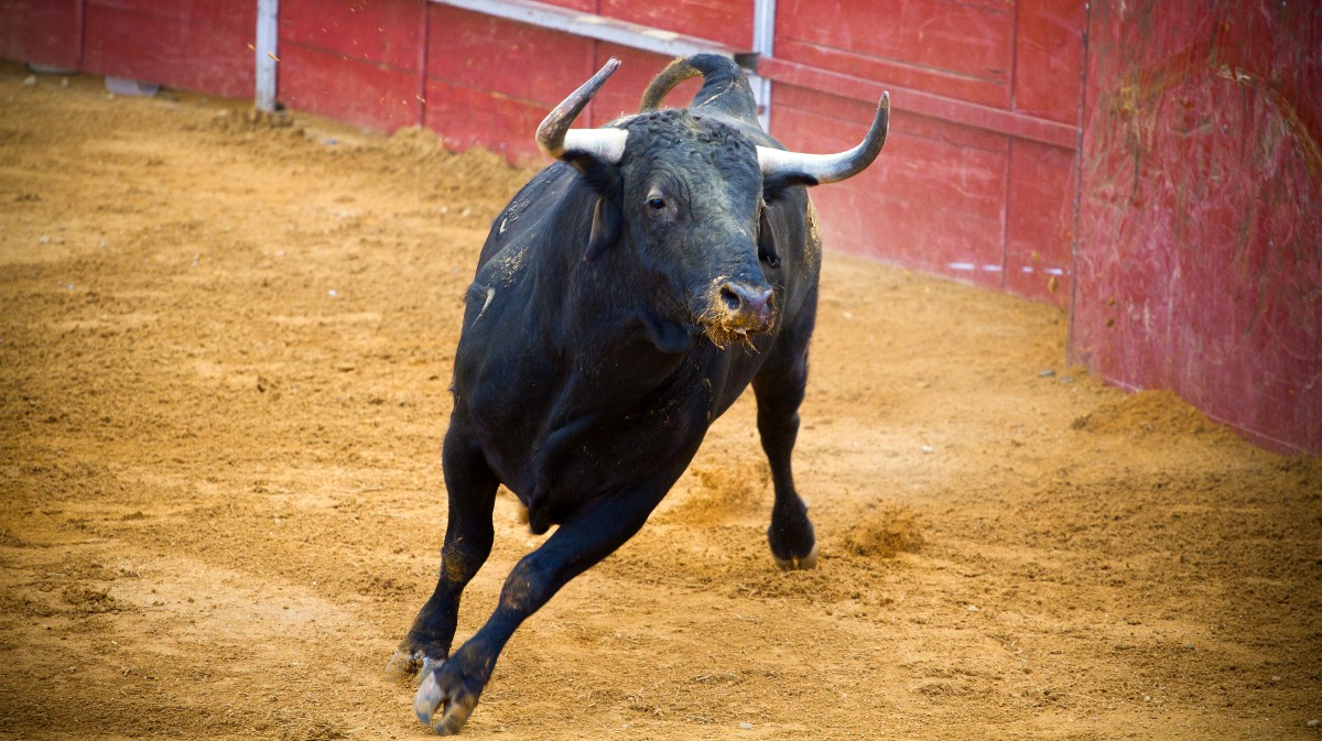 Imagen de archivo de una corrida de toros.