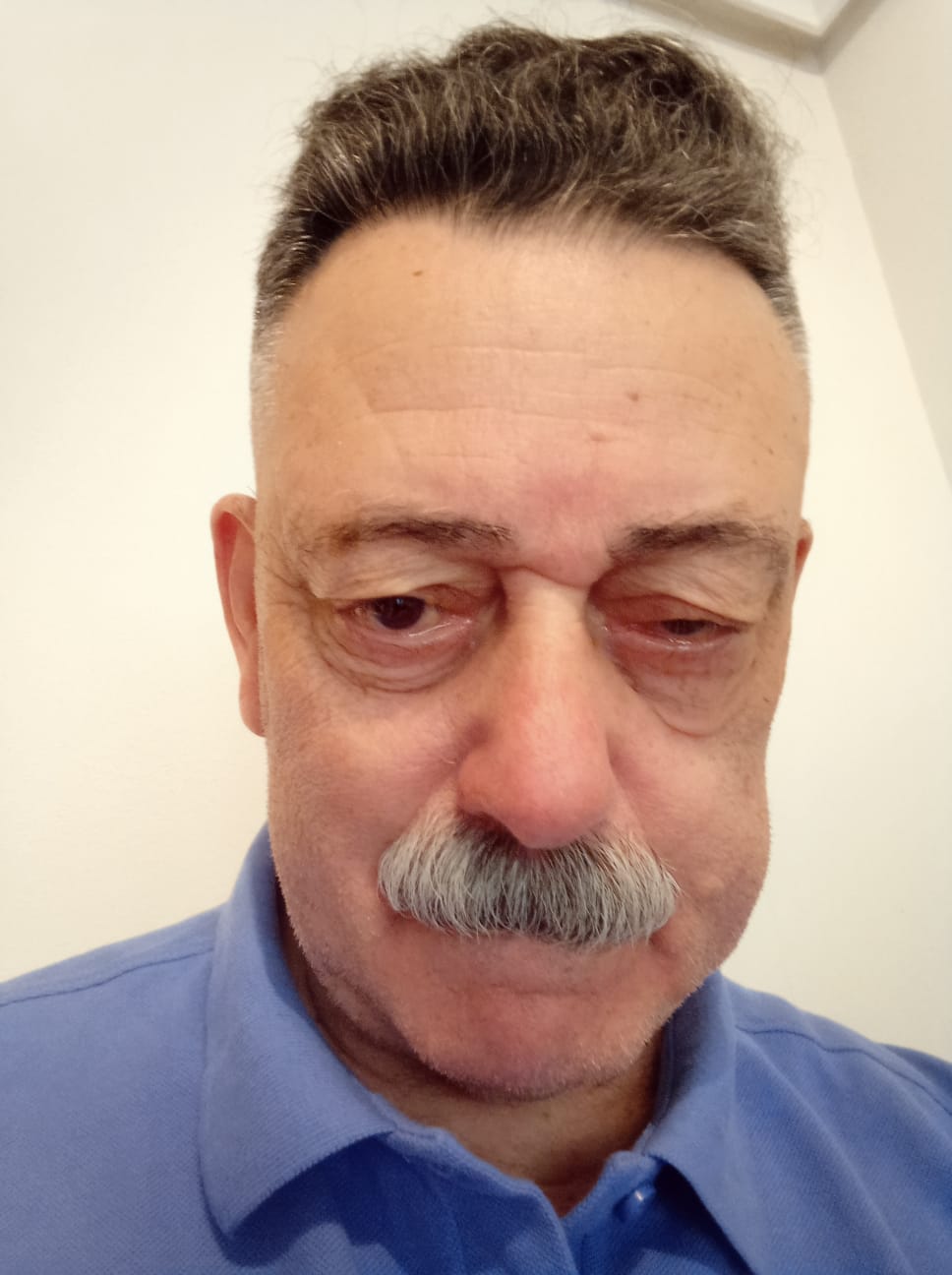 DOMINGO MALZONI
