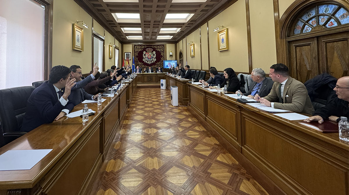 Pleno en la Diputaci&oacute;n de &Aacute;vila.