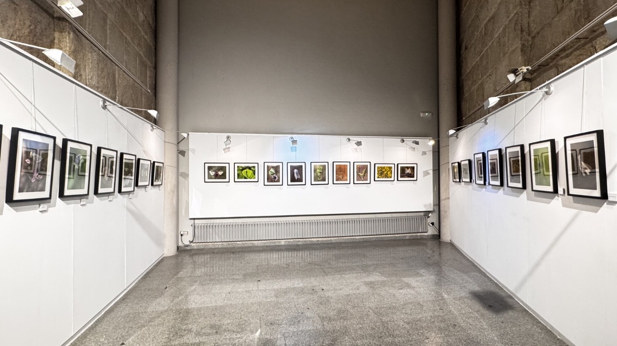 Exposici&oacute;n &lsquo;Macrofotograf&iacute;a&rsquo;