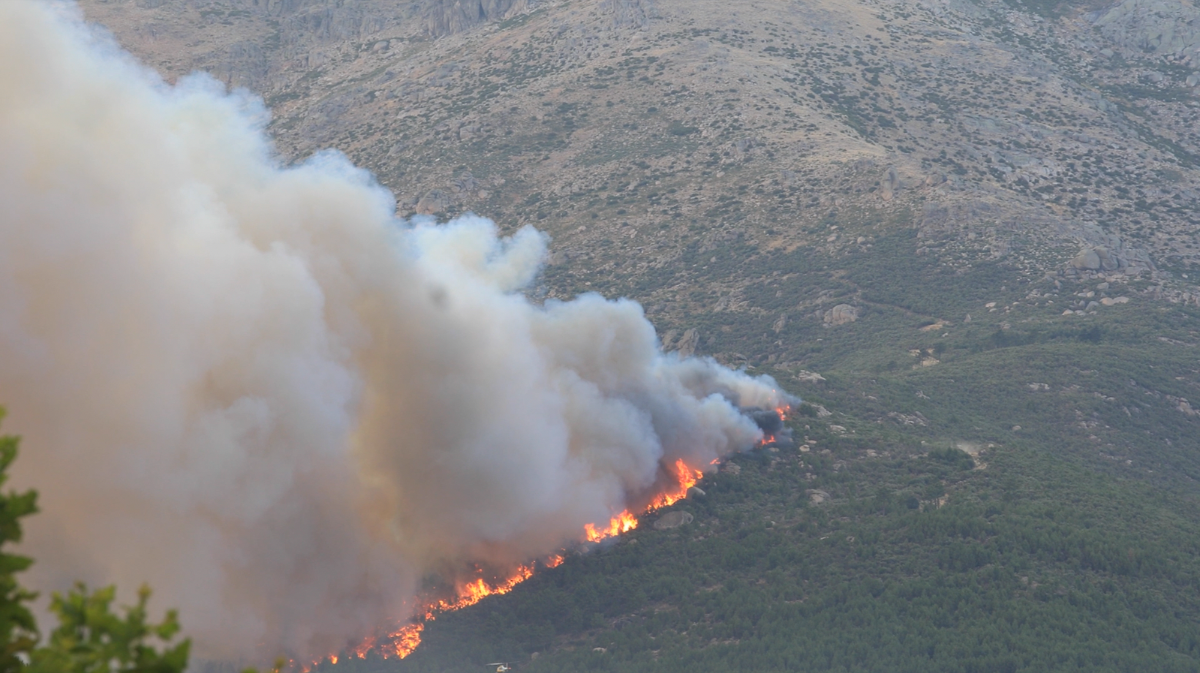 Incendio en el Barranco de las Cinco Villas en 2025.