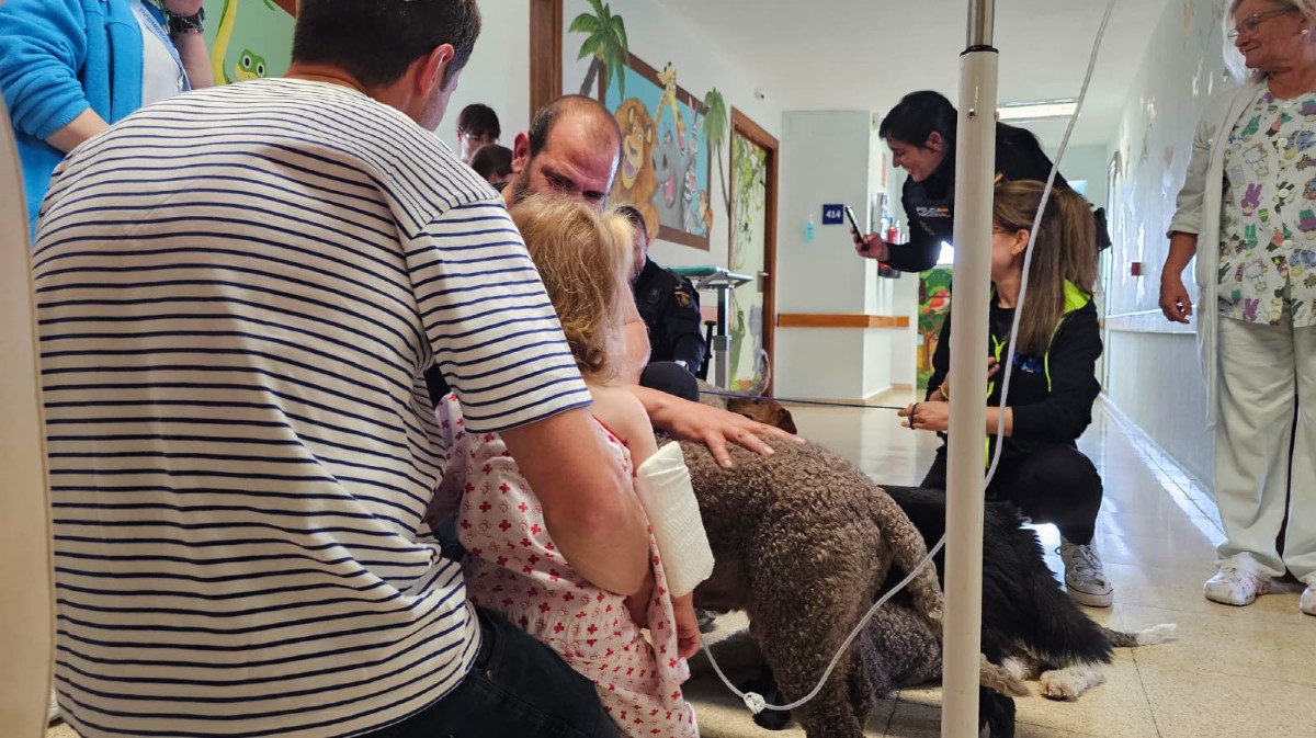 'Perros vitamina' con ni&ntilde;os hospitalizados.
