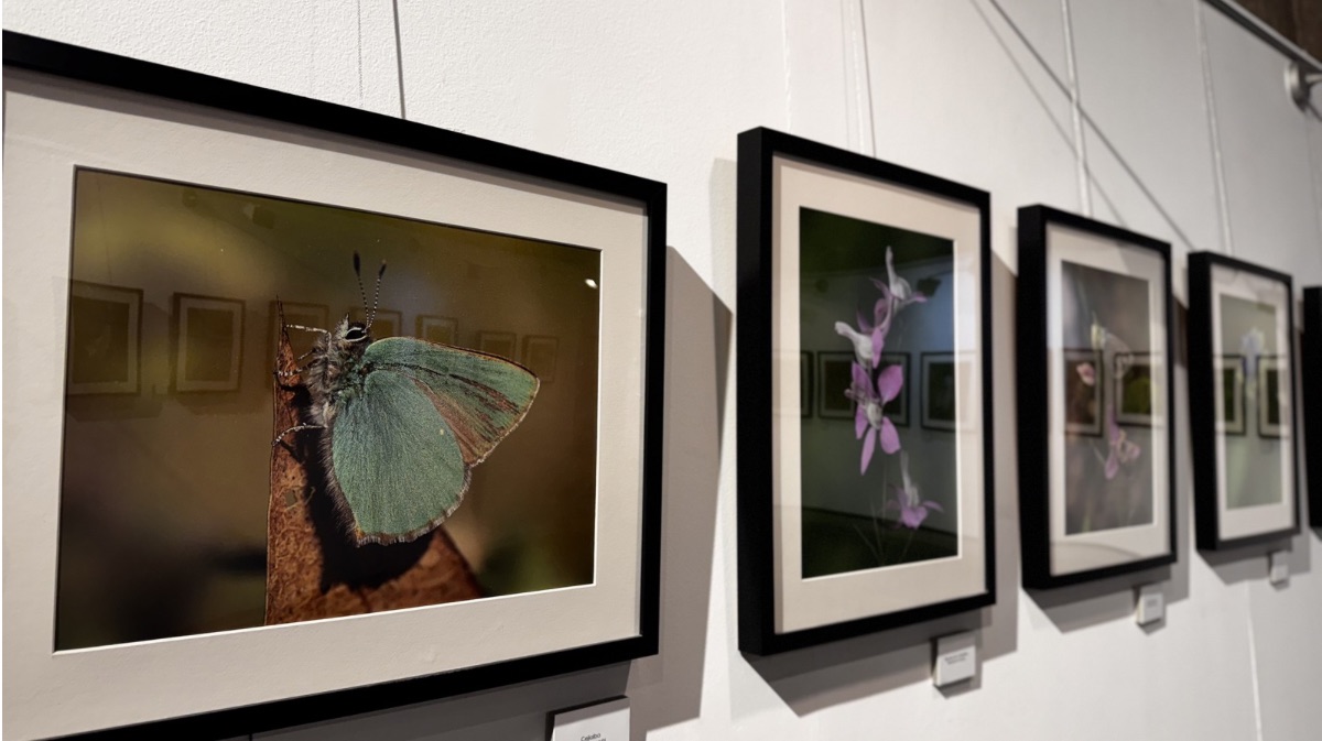 Exposici&oacute;n &lsquo;Macrofotograf&iacute;a&rsquo;