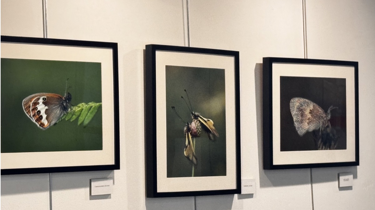 Exposici&oacute;n &lsquo;Macrofotograf&iacute;a&rsquo;