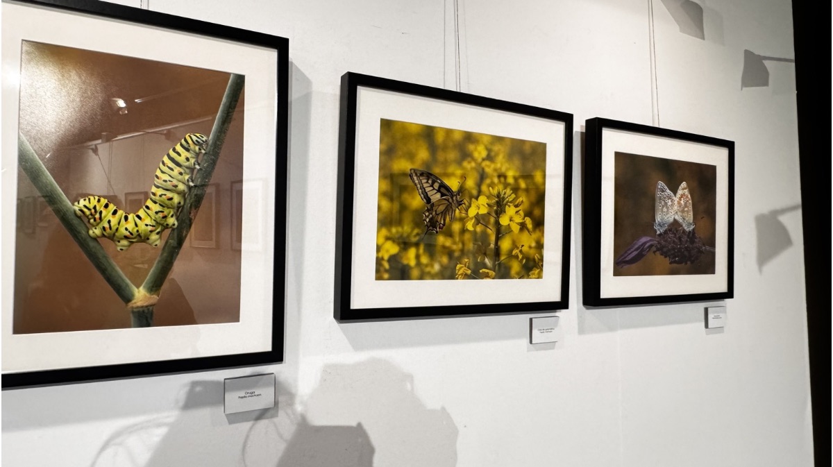 Exposici&oacute;n &lsquo;Macrofotograf&iacute;a&rsquo;